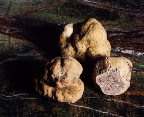 psilocybin truffles