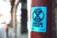 How a Psychedelic Experience Led to the Extinction Rebellion