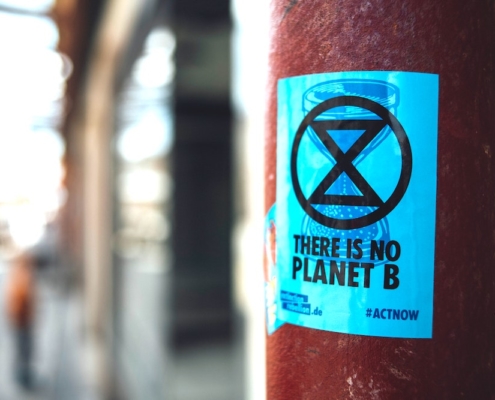 How a Psychedelic Experience Led to the Extinction Rebellion