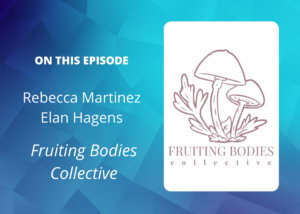 Interview With Fruiting Bodies Collective