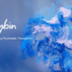 Former Director of Psychiatric Products at FDA Joins Psychedelic Life Sciences Company Cybin
