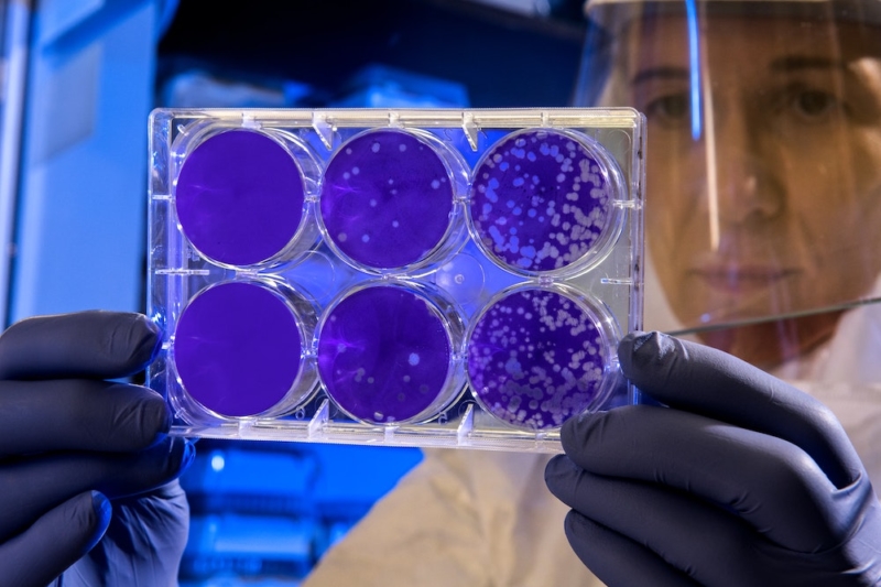 Biotech Firm PsyBio Therapeutics Is Producing Psilocybin From Bacteria