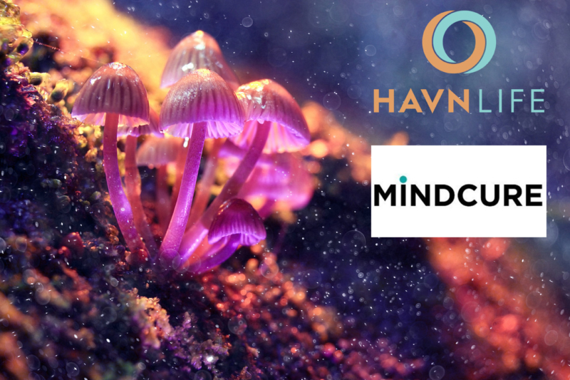 Psychedelic Companies HAVN Life Sciences, MINDCURE Health Reach Manufacturing Milestones