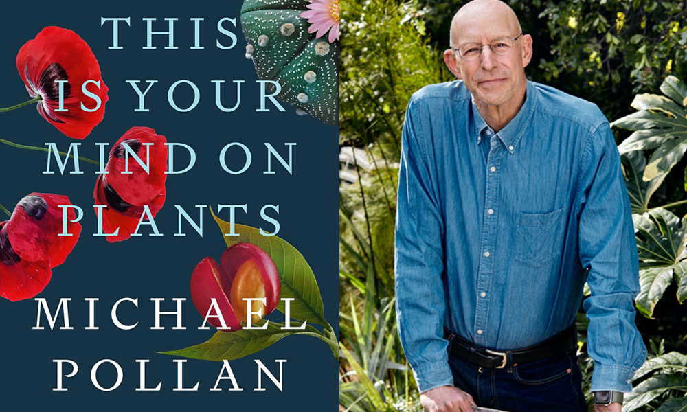 This Is Your Mind on Plants by Michael Pollan: 9780593296929