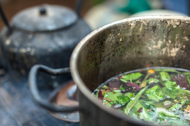 Ayahuasca May Help Curb Drug and Alcohol Addiction