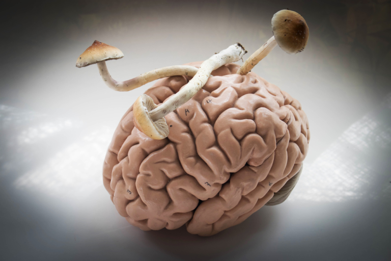 How a Psilocybin Study on AIDS Survivors Could Solve a Big Problem with Psychedelic Therapy