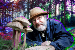 7 ‘Fantastic Fungi’ Facts We Learned From Psychedelic Mushroom Documentary on Netflix