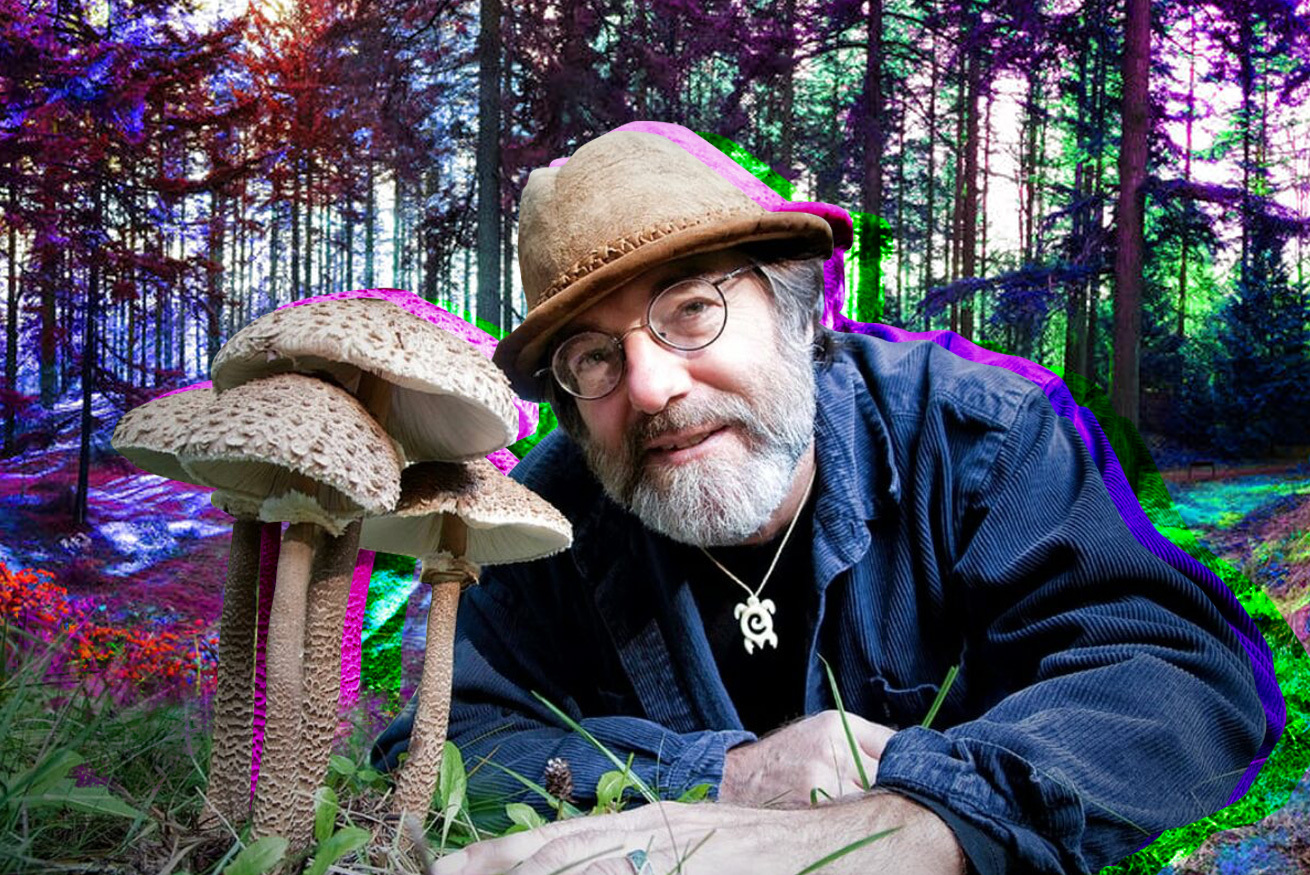 7 'Fantastic Fungi' Facts From Psychedelic Mushroom Documentary on Netflix