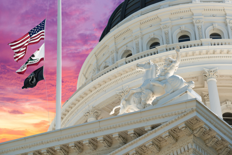 California Bill Decriminalizing Psychedelics Delayed Until 2022