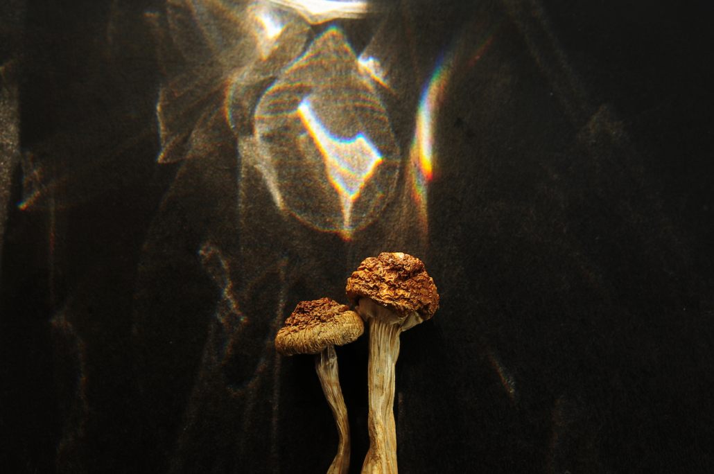 Why These Researchers Are Concerned About Psychedelic Legalization
