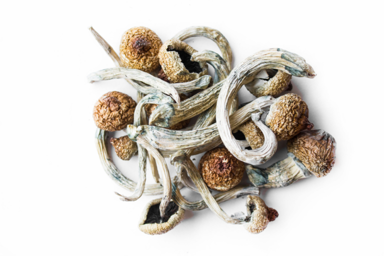 Grand Rapids May Be Second Michigan City to Decriminalize Natural Psychedelics by Year’s End