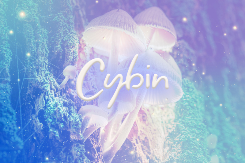 How Cybin Is 'Revolutionizing' Mental Healthcare with Novel Psychedelic Compounds