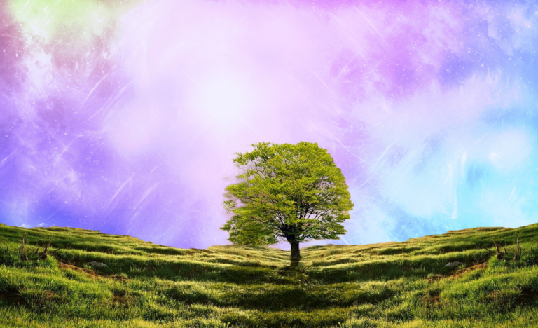 Walled Garden: Fighting for Inclusivity and Accessibility in the Psychedelic Renaissance