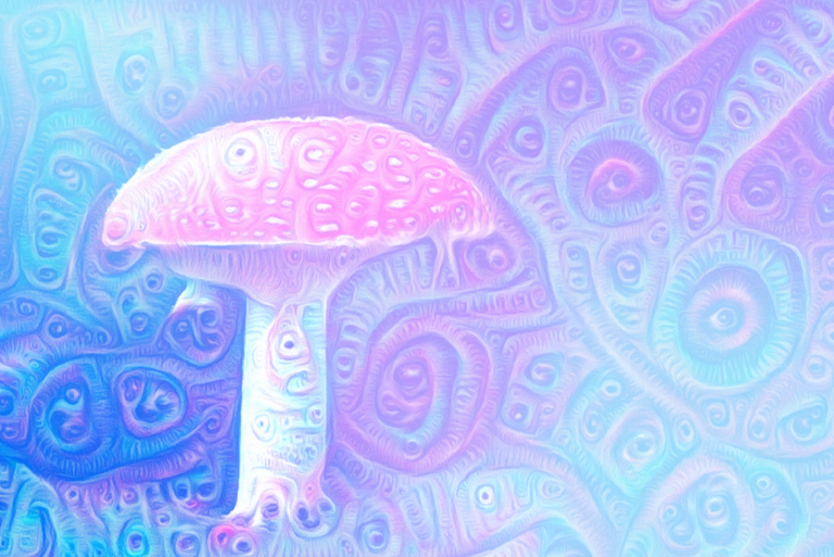 Majority of Oregon Adults Interested in Psilocybin Want to Try Microdosing