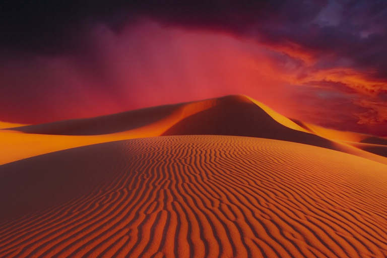 'Dune' Is a Psychedelic Sci-Fi Masterpiece Inspired by Mushroom Magic