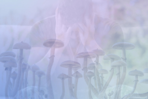 Why We’re Excited About Compass Pathways’ New Clinical Trial Treating PTSD with Psilocybin