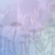 Why We're Excited About Compass Pathways New Clinical Trial Treating PTSD With Psilocybin