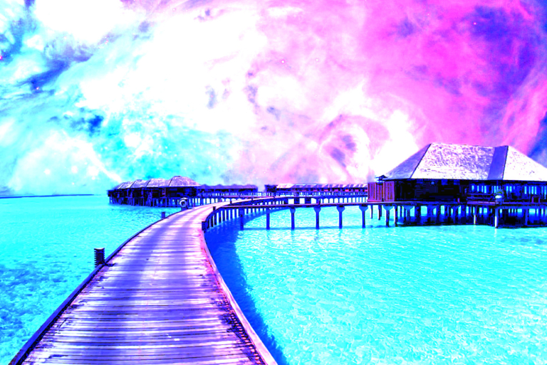 New Florida Bill Proposes Decriminalization of Psychedelics (and Every Other Illegal Drug)