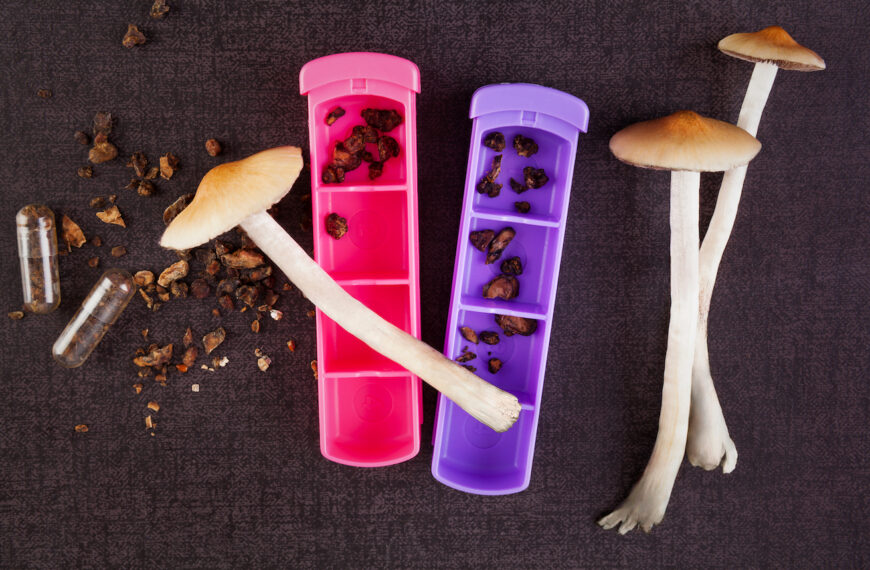 Microdosing Psilocybin for Beginners in 5 Easy Steps