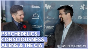Dr. Matthew Johnson: Psychedelics, Consciousness, DMT Experiences & The CIA