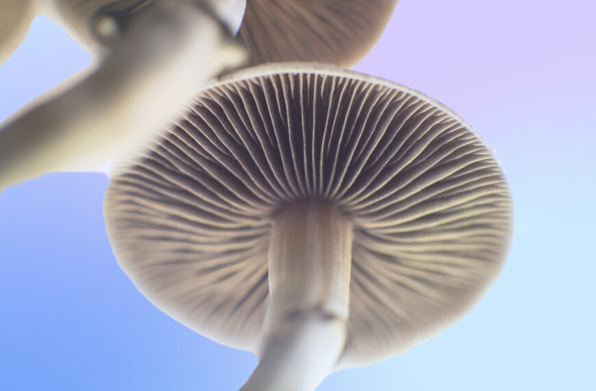 Oklahoma GOP Lawmakers Push for Psychedelic Medical Research and Decriminalization