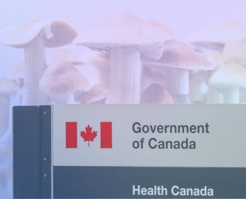 How Psychedelic Treatment Through Health Canada’s SAP Works