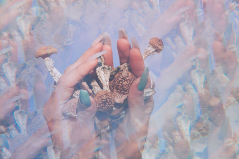 When Will Psilocybin Be Available in Oregon and What’s the Hold-Up?