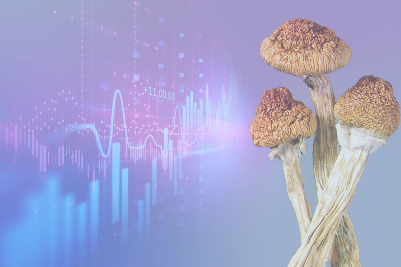 Is Wall Street the Next Stop for Psychedelics? Investing in the Psychedelic Medicine Sector