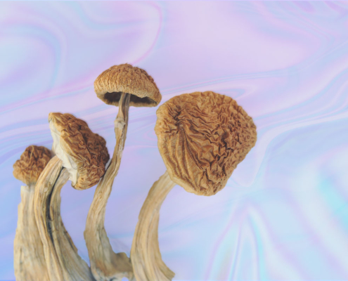 The Road to Psychedelics Legalization