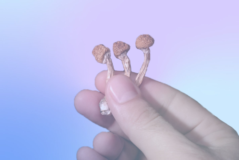 New Study Links Psilocybin to Lower Risk of Opioid Addiction