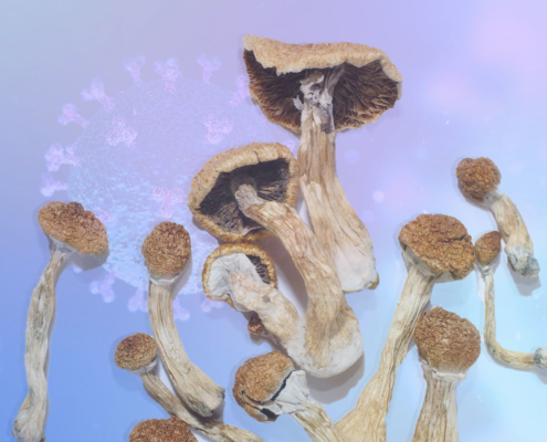 COVID on Mushrooms: A Psilocybin Trip Report