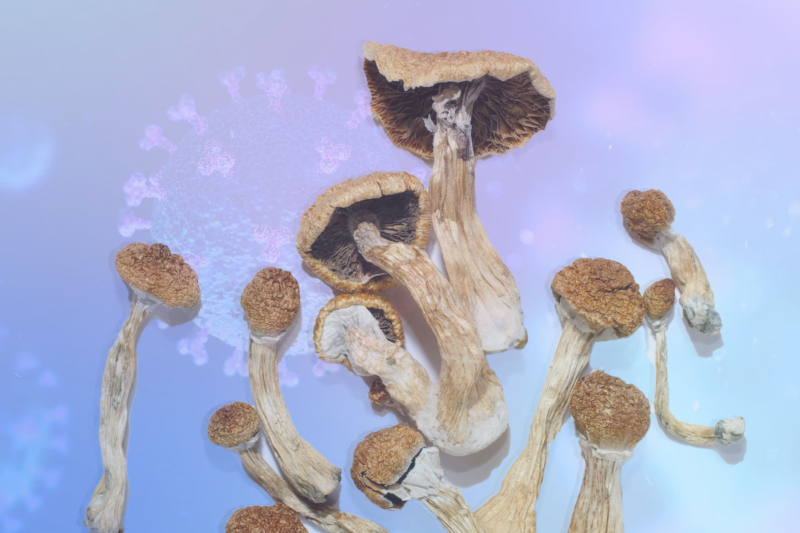 COVID on Mushrooms: A Psilocybin Trip Report