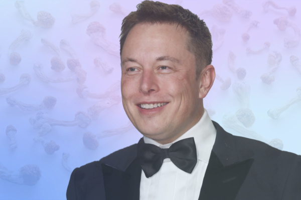 Elon Musk Excites Psychedelic Industry CEOs with This Tweet