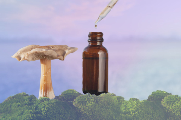 Psychedelic Medicine Has Institutional Buy-In & 4 More Catalyst Summit Takeaways