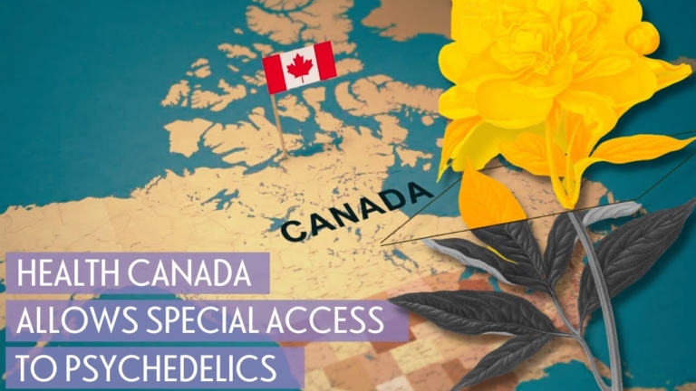 Did Canada Just Quietly Legalize Psychedelic Therapy? Kind of, but it’s Complicated