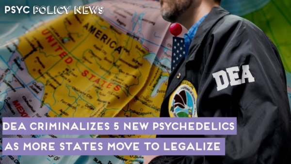 Psychedelic Decriminalization Update : Colorado, Oklahoma & Maine Move To Legalize Psychedelics?