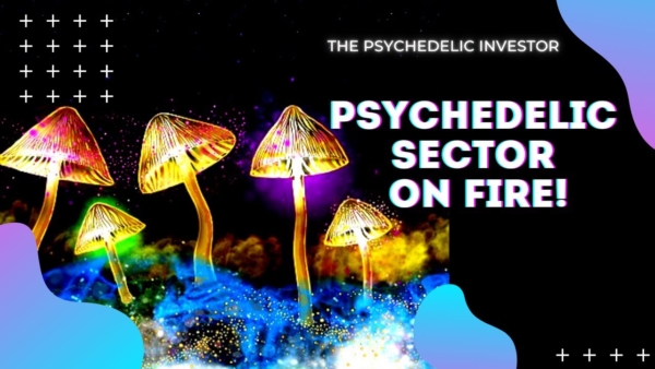 Top 5 PSYCHEDELIC STOCKS to buy in 2021 (MMEDF, NUMI, RVV, FTRP, CMPS🔥)