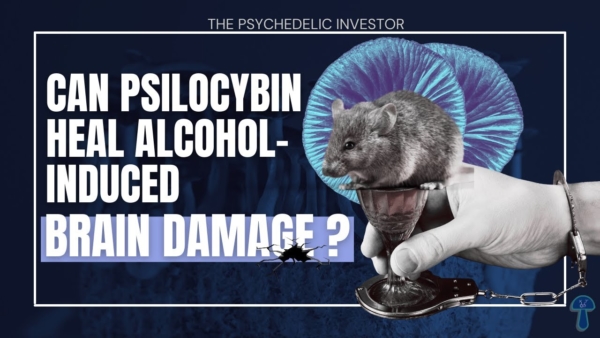 Can Psychedelics Treat Alcoholism? New Psilocybin & DMT Studies Say YES!