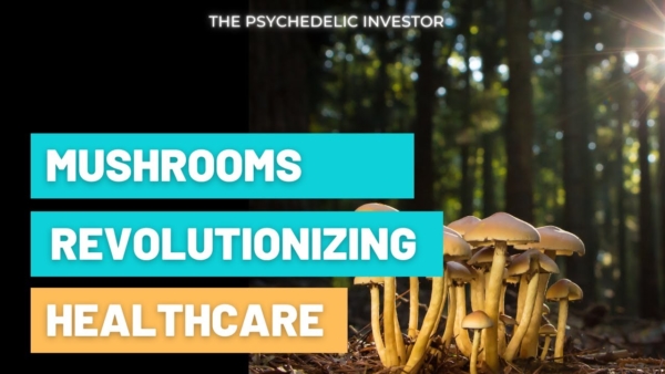Why the SHROOM BOOM Isn’t Just About Psychedelic Mushrooms