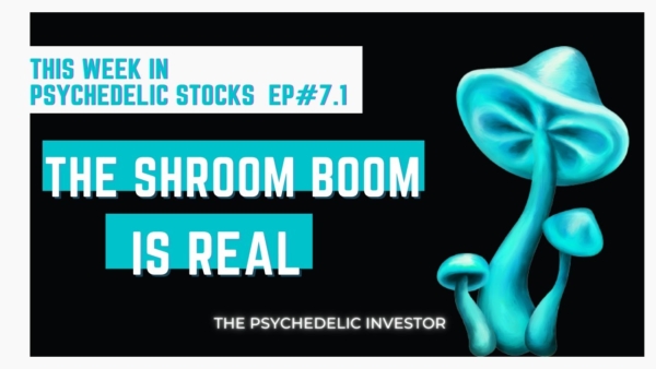 HUGE Studies Released: Psychedelics About to TAKE OVER the Stock market? [ +Horizons ETF UPDATE]