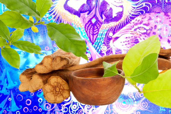 Intro to Ayahuasca Art: Origins and Artists to Know 
