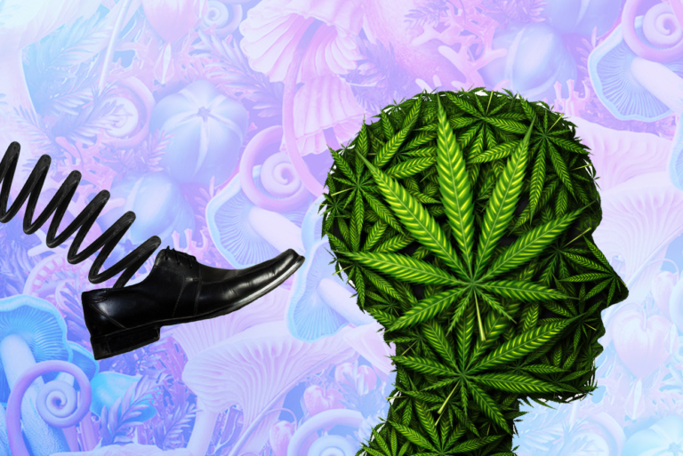 Goodbye Weed and Acid, Hello Magic Mushrooms