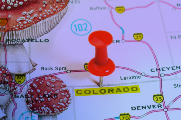 Colorado to Legalize Psychedelics?