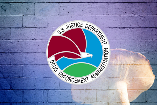 The DEA Backs Down, Will Not Criminalize 5 Psychedelics