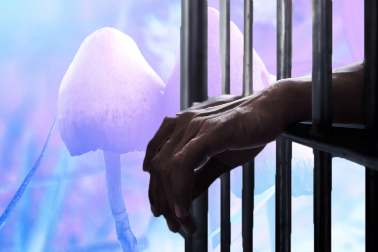 Indiana Nurse Faces Ten Years in Prison for Microdosing Psilocybin Mushrooms
