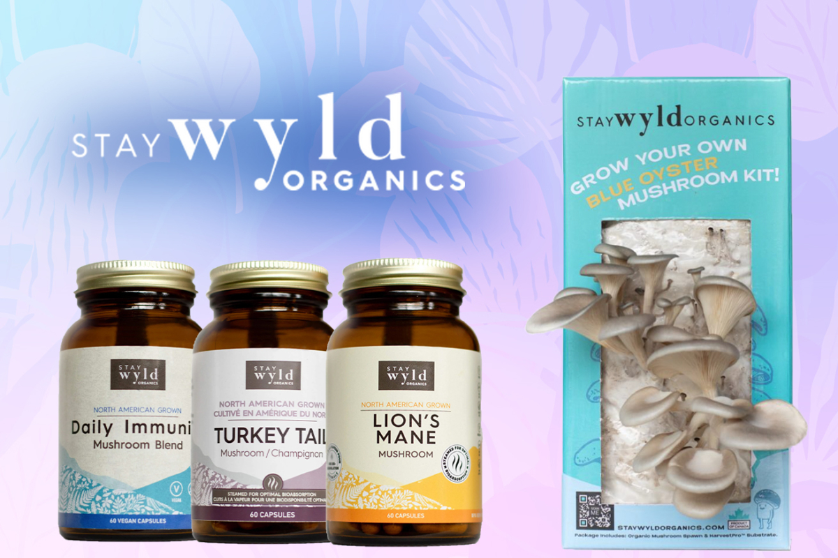 The Health Benefits of taking Mushroom Supplements Psychedelic Spotlight