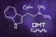 Cybin Entheon DMT Clinical Trial