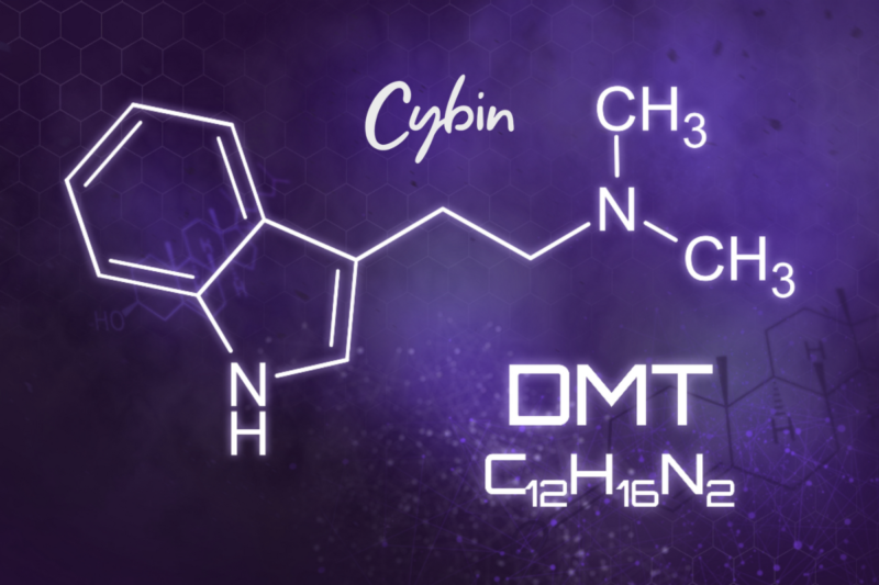 Cybin Entheon DMT Clinical Trial