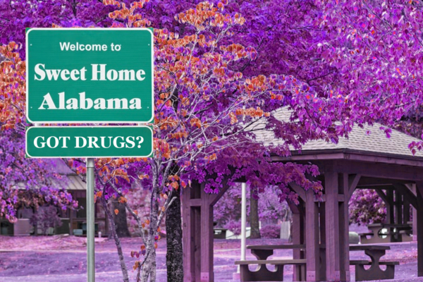 Psychedelic South: The Quest to find Good Drugs in Alabama