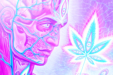 Is Marijuana a Psychedelic
